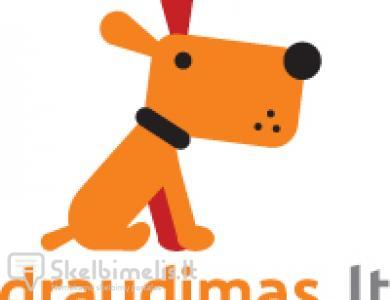 Draudimas internetu
